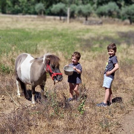 Arca Dos Animais - Farming & Spa Кастело Бранко Екстериор снимка