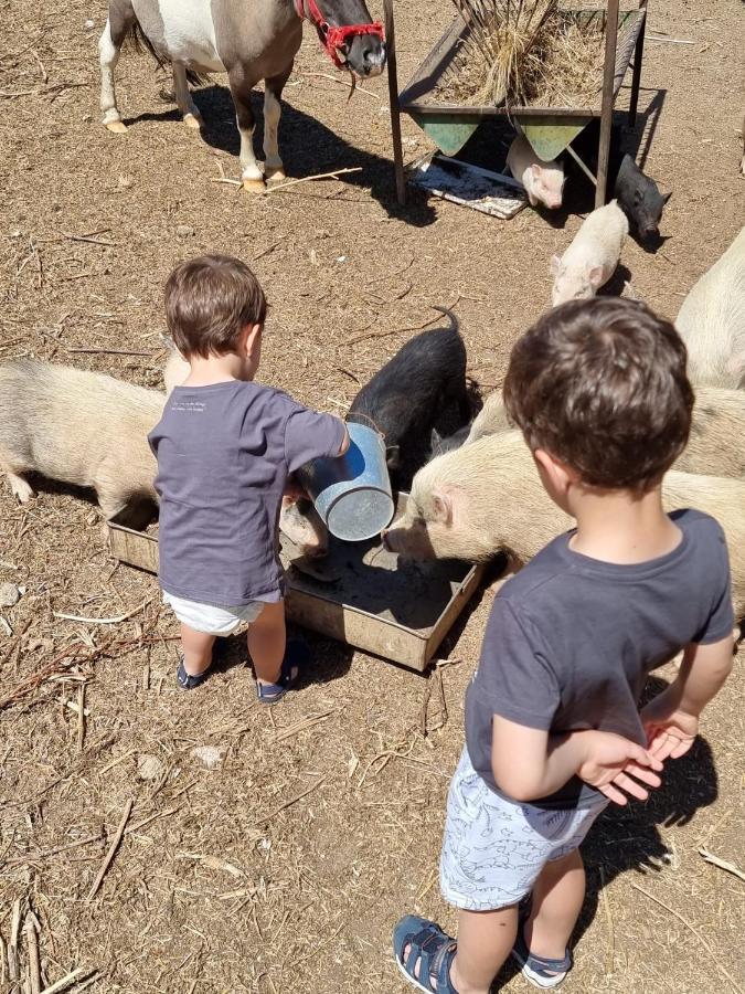 Arca Dos Animais - Farming & Spa Кастело Бранко Екстериор снимка