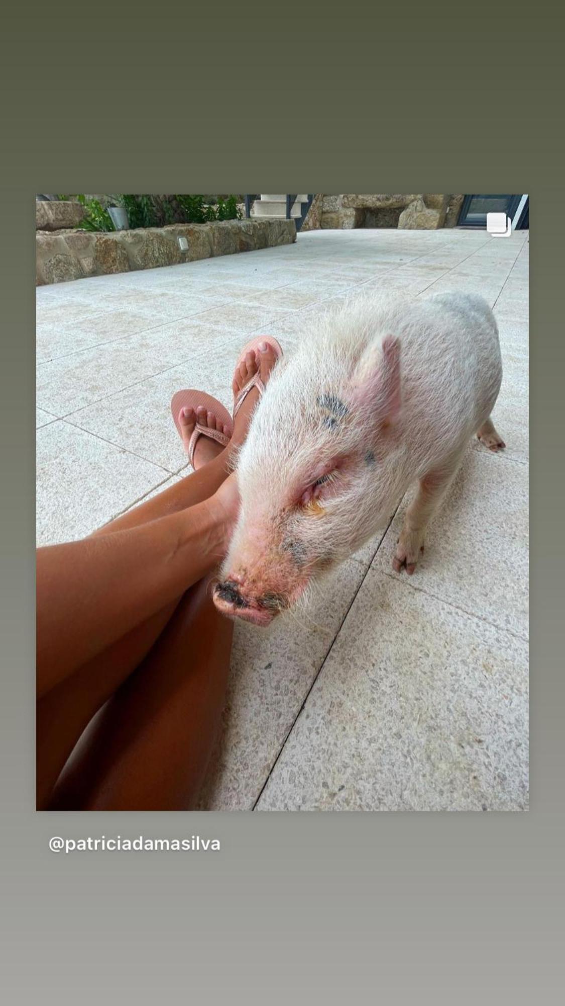 Arca Dos Animais - Farming & Spa Кастело Бранко Екстериор снимка